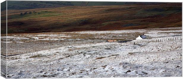 winter scene Cumbria Canvas Print by david harding