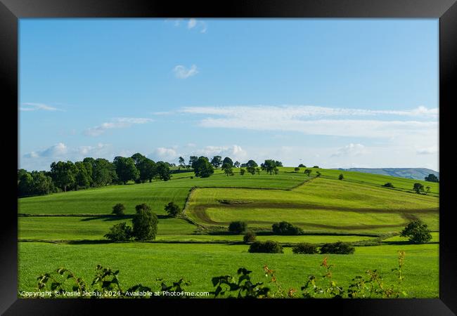 Outdoor grass Framed Print by Man And Life