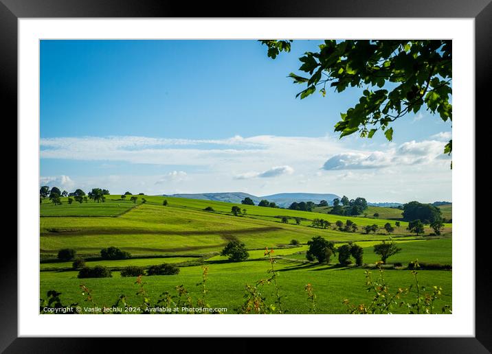 Outdoor grass Framed Mounted Print by Man And Life