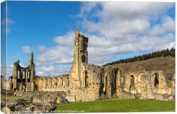 St Andrews Cathedral Canvas Print by Man And Life