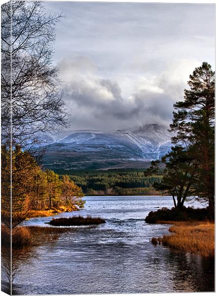 The Coming of Winter to the Cairngorms Canvas Print by Jacqi Elmslie