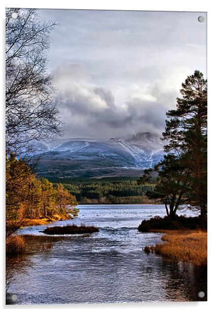 The Coming of Winter to the Cairngorms Acrylic by Jacqi Elmslie