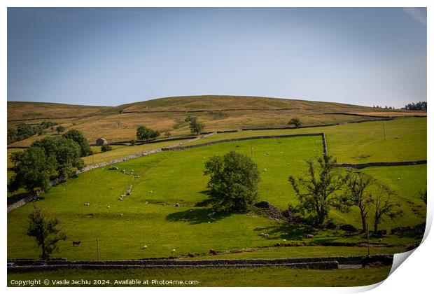 Yorkshire Dales Print by Man And Life