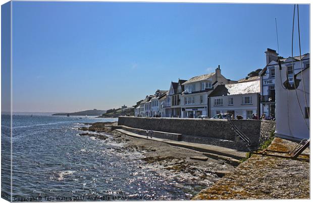 St Mawes a very Cornish Place Canvas Print by Terri Waters
