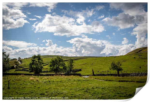 Outdoor grass Print by Man And Life