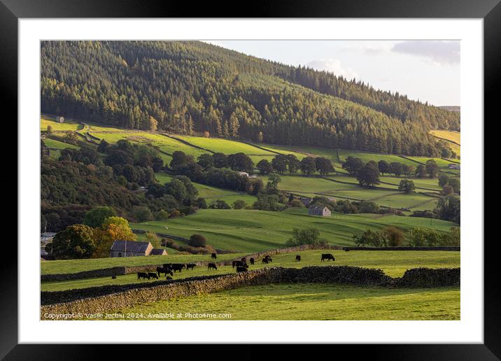 Outdoor grass Framed Mounted Print by Man And Life