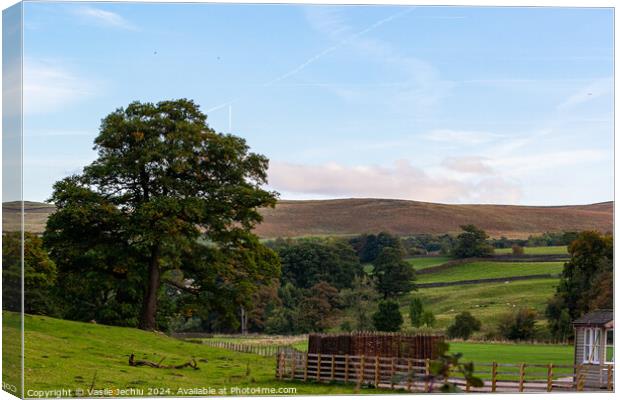 Outdoor grass Canvas Print by Man And Life