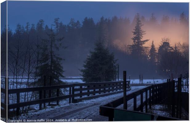 Benmore Bridge In The Blue Hour In The Snow Canvas Print by Ronnie Reffin