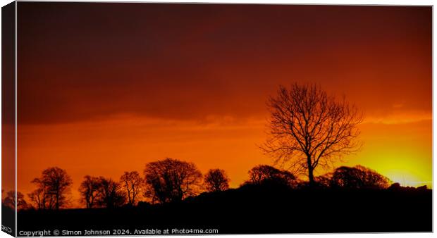 A tree in front of a sunset Canvas Print by Simon Johnson