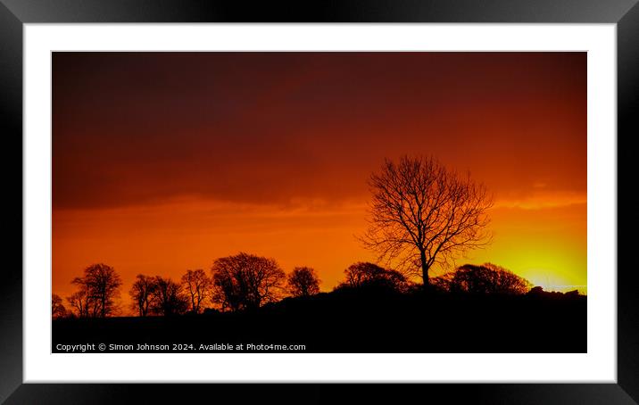 A tree in front of a sunset Framed Mounted Print by Simon Johnson