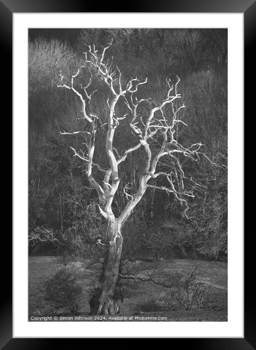 Lightning tree Framed Mounted Print by Simon Johnson