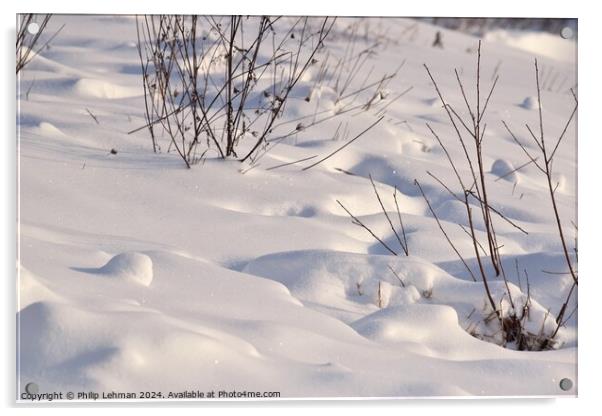 Snow Covered Hill 2B Acrylic by Philip Lehman