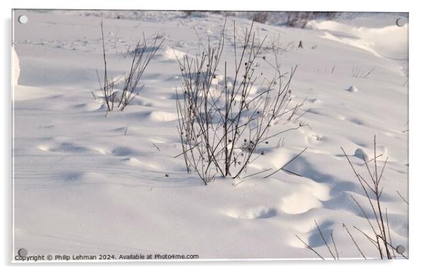 Snow Covered Hill 7B Acrylic by Philip Lehman