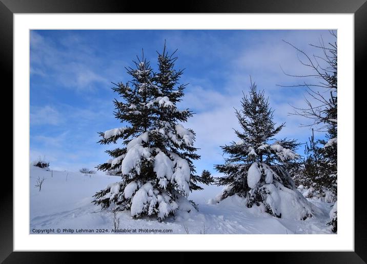 Snow Covered Pines 19A Framed Mounted Print by Philip Lehman