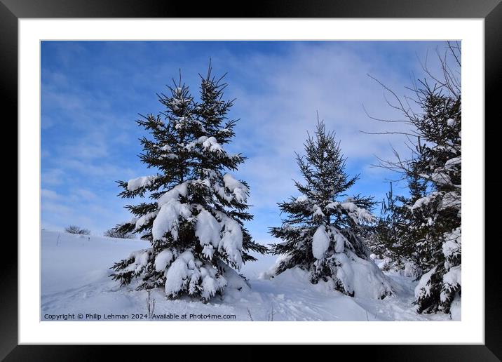 Snow Covered Pines 27A Framed Mounted Print by Philip Lehman
