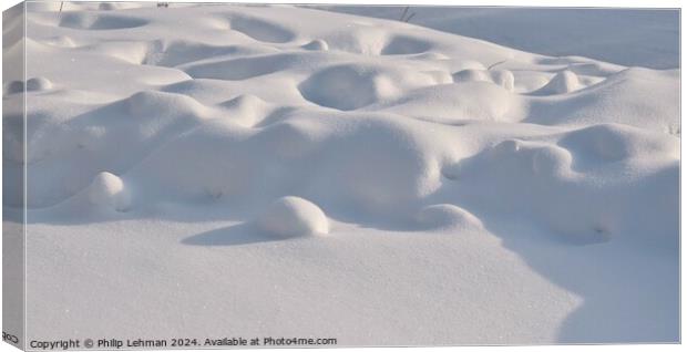 Snow Drift  Canvas Print by Philip Lehman