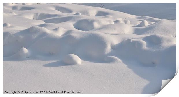 Snow Drift  Print by Philip Lehman
