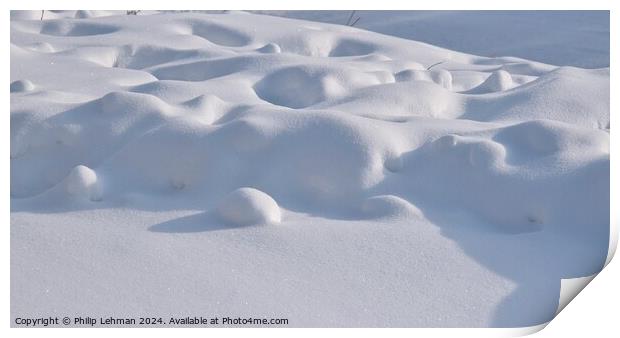 Snow Drift 2A Print by Philip Lehman