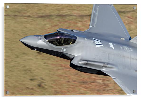 F-35A Lightning II Dawg 01 Acrylic by J Biggadike