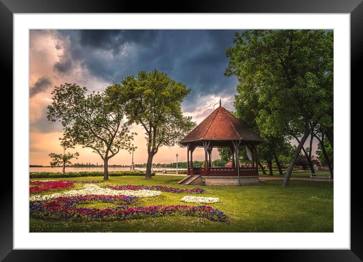 The Music Pavilion on the Palic Lake in Serbia Framed Mounted Print by Dejan Travica