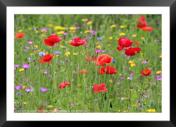 The Meadow Framed Mounted Print by Susan Southward