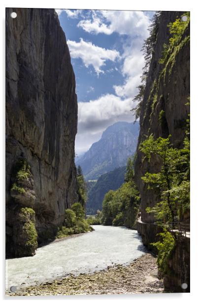 Beautiful Aare Gorge, Switzerland Acrylic by Imladris 