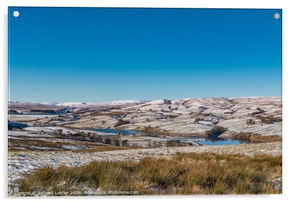 Snowy Lunedale Acrylic by Richard Laidler