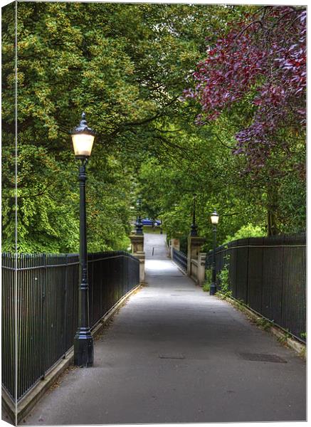 Lamplight in Leafy Lane Canvas Print by Mike Gorton