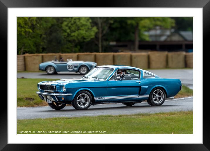Ford Mustang GT350 Framed Mounted Print by Rodney Hutchinson