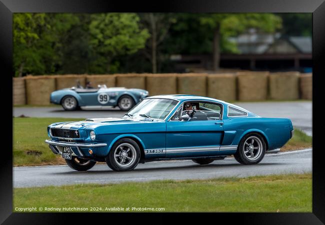 Ford Mustang GT350 Framed Print by Rodney Hutchinson
