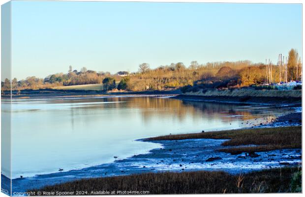 The River Exe  Canvas Print by Rosie Spooner