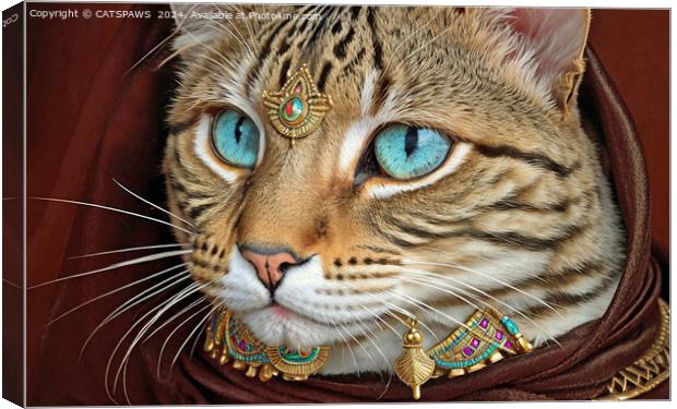 A CAT WITH STYLE Canvas Print by CATSPAWS 