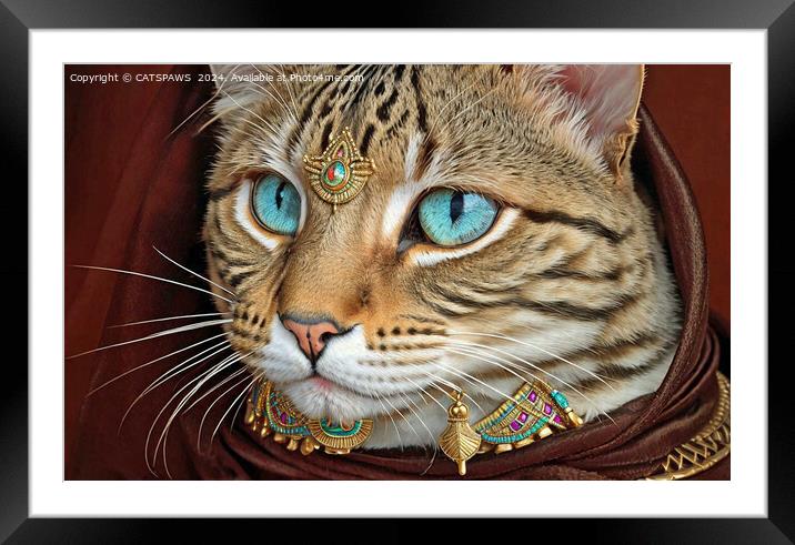 A CAT WITH STYLE Framed Mounted Print by CATSPAWS 