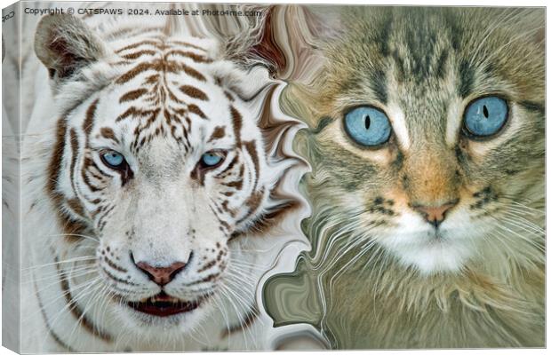 DUAL PURRSONALITY Canvas Print by CATSPAWS 