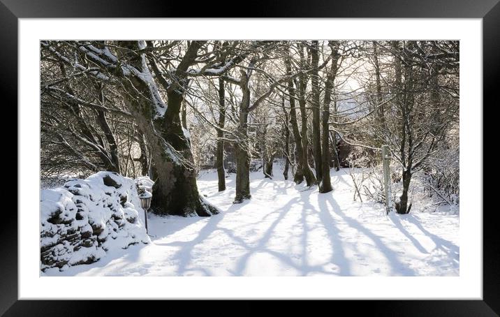 Winter Shadows Framed Mounted Print by Simon Wrigglesworth