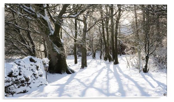 Winter Shadows Acrylic by Simon Wrigglesworth