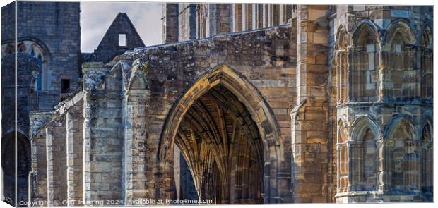 Elgin Cathedral Elgin Morayshire Scotland Sunlight Arch Study Canvas Print by OBT imaging