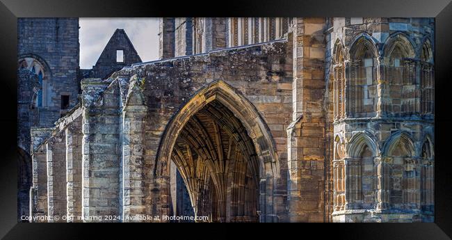 Elgin Cathedral Elgin Morayshire Scotland Sunlight Arch Study Framed Print by OBT imaging