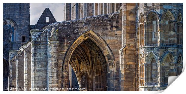 Elgin Cathedral Elgin Morayshire Scotland Sunlight Arch Study Print by OBT imaging