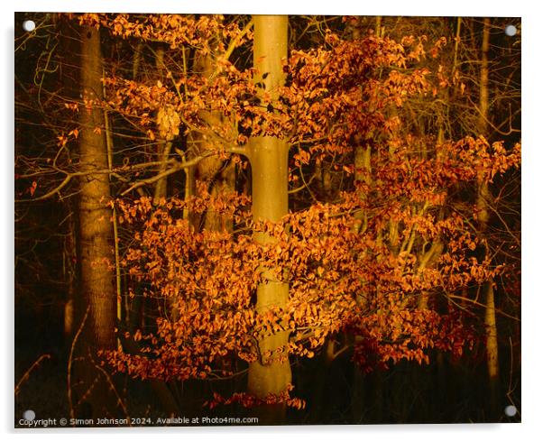 Sunlit Leaves Acrylic by Simon Johnson
