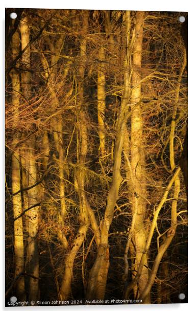 Sunlit Woodland  Acrylic by Simon Johnson