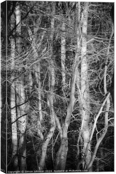 Sunlit woodland monochrome  Canvas Print by Simon Johnson