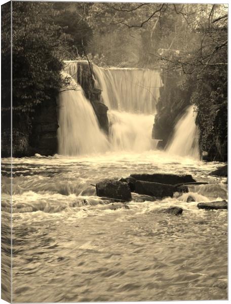 Penllergaer Waterfall. Canvas Print by Becky Dix