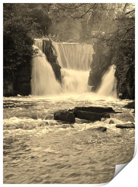 Penllergaer Waterfall. Print by Becky Dix