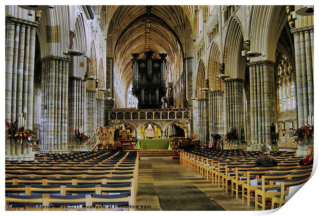 Exeter Cathedral Print by Alexia Miles