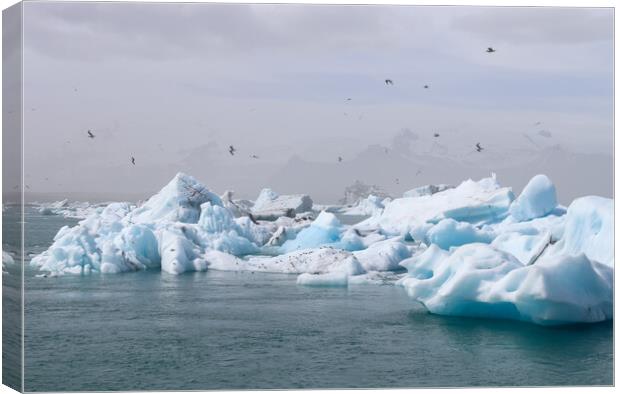 Iceland, Jokulsarlon Lagoon, Turquoise icebergs floating in Glac Canvas Print by Michael Piepgras