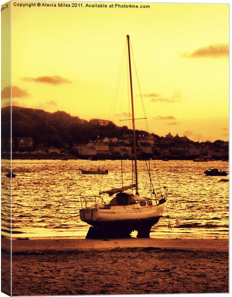 Instow Canvas Print by Alexia Miles