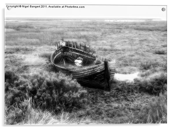 Shipwreck Acrylic by Nigel Bangert