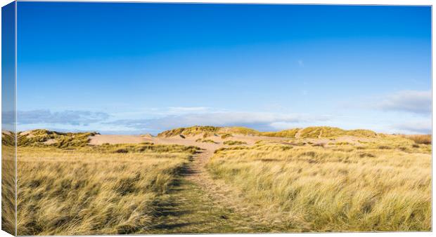 Blue sky above the sand dunes on Formby beach Canvas Print by Jason Wells