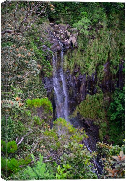 Alexandra Falls Waterfall in Mauritius Canvas Print by Dietmar Rauscher